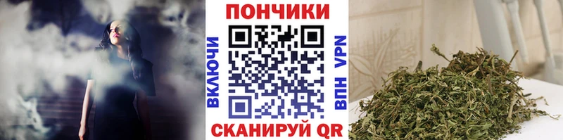 Бошки Шишки THC 21%  Купить где  Медногорск 